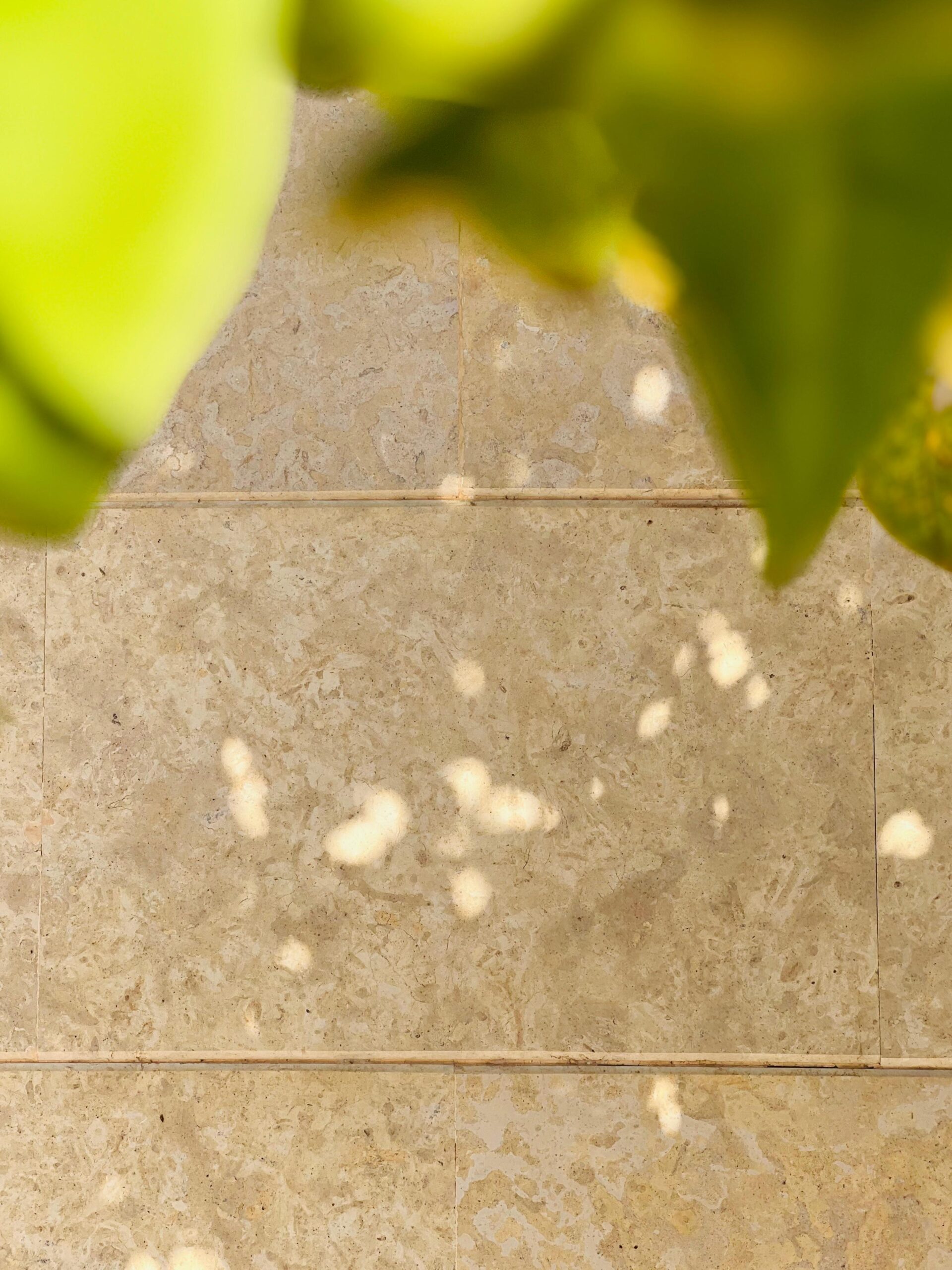 Yellow California Limestone